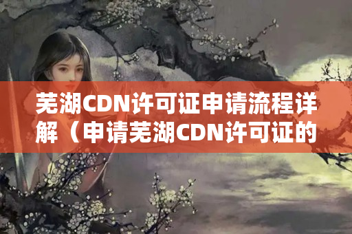 蕪湖CDN許可證申請(qǐng)流程詳解（申請(qǐng)蕪湖CDN許可證的步驟）