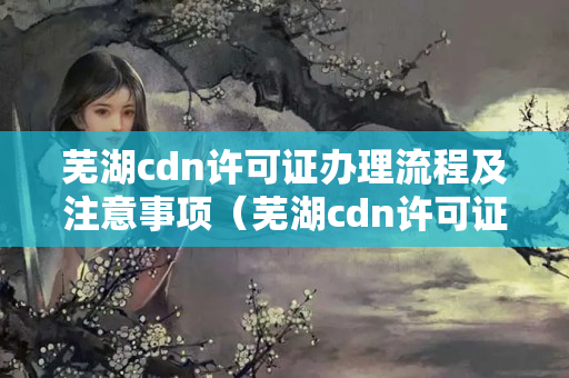 蕪湖cdn許可證辦理流程及注意事項(xiàng)（蕪湖cdn許可證辦事方法）