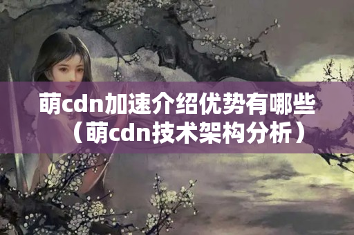 萌cdn加速介紹優(yōu)勢有哪些（萌cdn技術(shù)架構(gòu)分析）