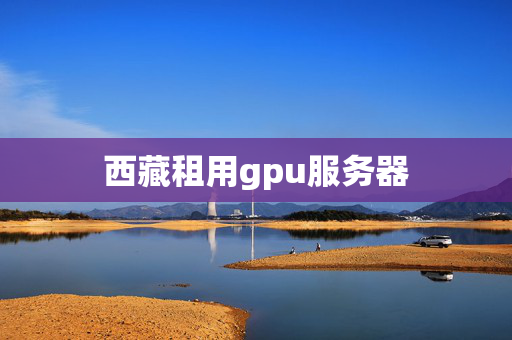 西藏租用gpu服務(wù)器