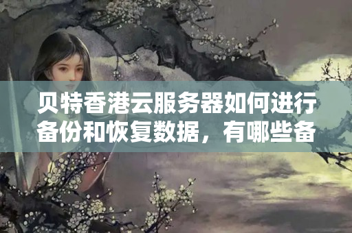 貝特香港云服務器如何進行備份和恢復數(shù)據(jù)，有哪些備份方案可選？