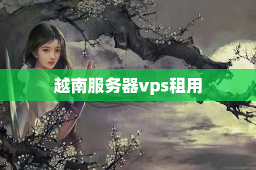 越南服務(wù)器vps租用