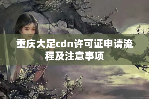 重慶大足cdn許可證申請流程及注意事項