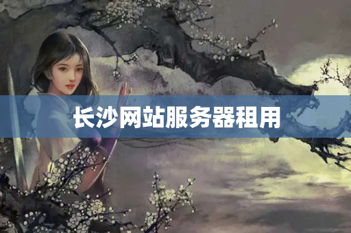 長沙網(wǎng)站服務(wù)器租用