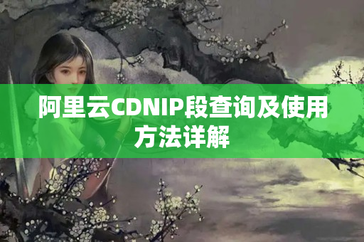 阿里云CDNIP段查詢及使用方法詳解