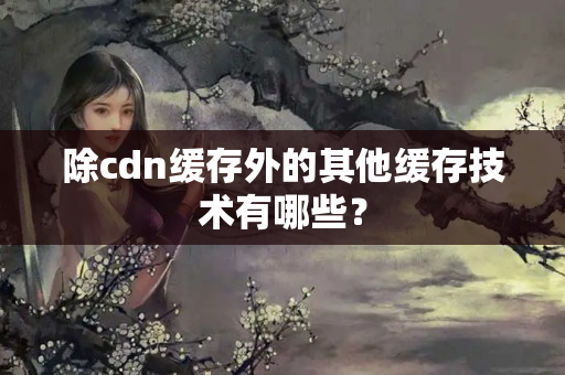 除cdn緩存外的其他緩存技術(shù)有哪些？