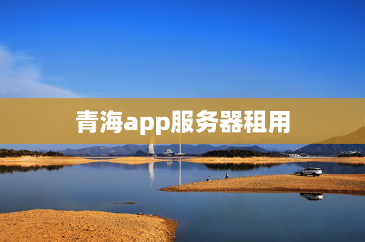 青海app服務(wù)器租用