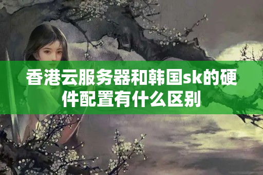 香港云服務(wù)器和韓國(guó)sk的硬件配置有什么區(qū)別