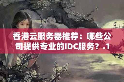 香港云服務(wù)器推薦：哪些公司提供專業(yè)的IDC服務(wù)？