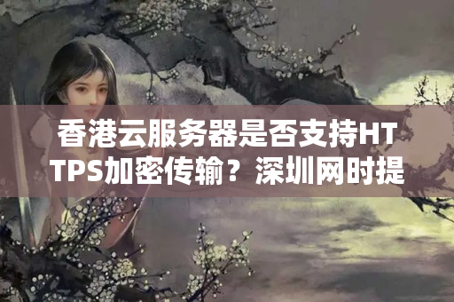 香港云服務(wù)器是否支持HTTPS加密傳輸？深圳網(wǎng)時(shí)提供了安全配置方案