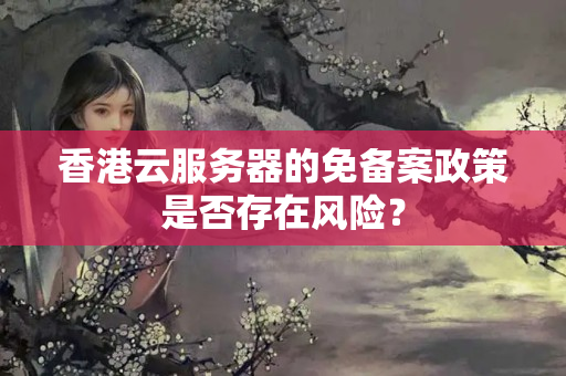 香港云服務器的免備案政策是否存在風險？