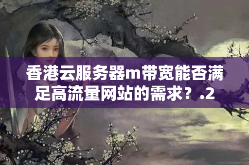 香港云服務(wù)器m帶寬能否滿足高流量網(wǎng)站的需求？