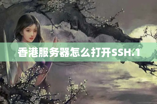 香港服務(wù)器怎么打開SSH