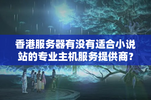 香港服務器有沒有適合小說站的專業(yè)主機服務提供商？