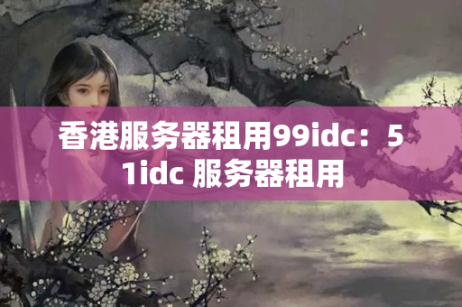 香港服務器租用99idc：51idc 服務器租用