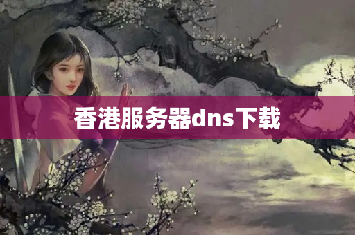 香港服務(wù)器dns下載