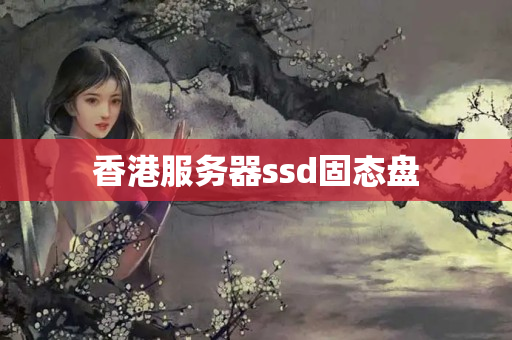 香港服務(wù)器ssd固態(tài)盤