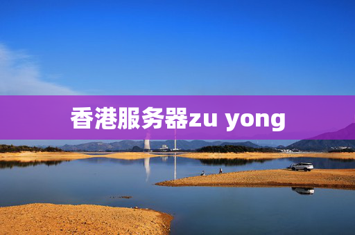 香港服務(wù)器zu yong