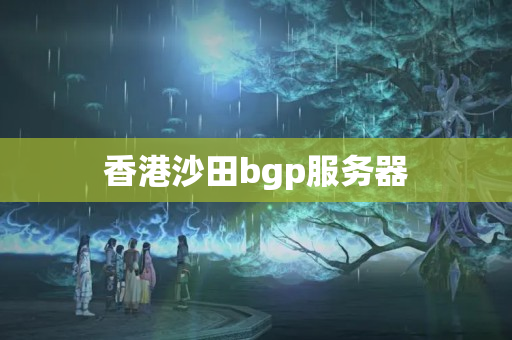 香港沙田bgp服務(wù)器