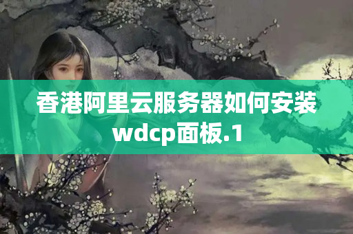 香港阿里云服務(wù)器如何安裝wdcp面板