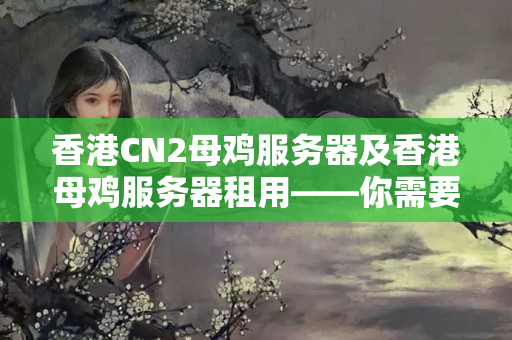 香港CN2母雞服務(wù)器及香港母雞服務(wù)器租用——你需要了解的重要要素