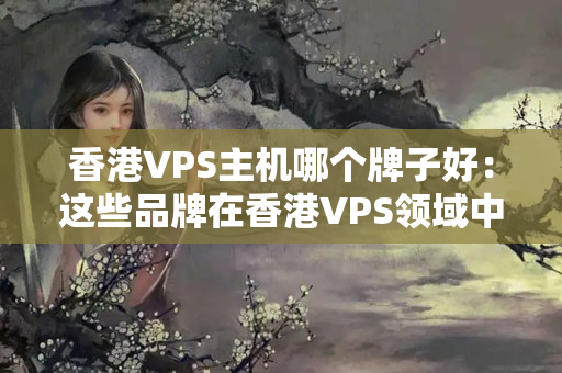 香港VPS主機(jī)哪個(gè)牌子好：這些品牌在香港VPS領(lǐng)域中有著不俗的地位