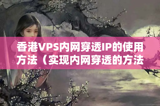 香港VPS內(nèi)網(wǎng)穿透IP的使用方法（實(shí)現(xiàn)內(nèi)網(wǎng)穿透的方法）