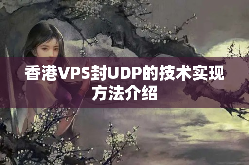 香港VPS封UDP的技術(shù)實(shí)現(xiàn)方法介紹