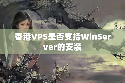 香港VPS是否支持WinServer的安裝