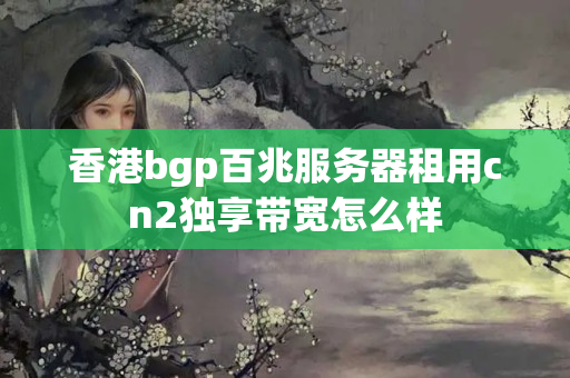 香港bgp百兆服務(wù)器租用cn2獨享帶寬怎么樣