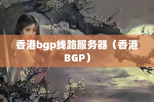 香港bgp線路服務(wù)器（香港BGP）