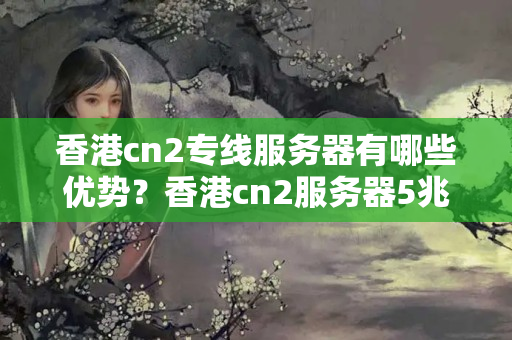 香港cn2專線服務器有哪些優(yōu)勢？香港cn2服務器5兆帶寬多少錢？