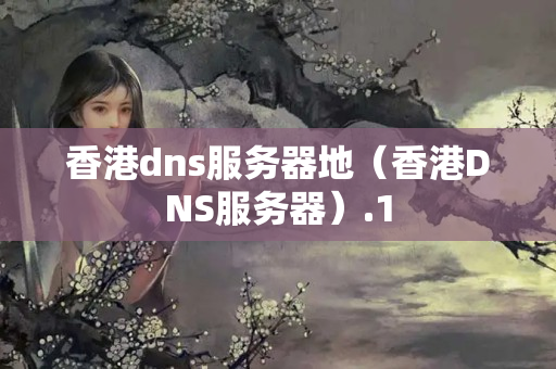 香港dns服務(wù)器地（香港DNS服務(wù)器）