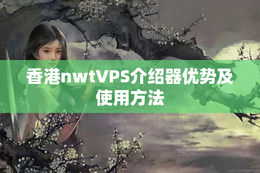 香港nwtVPS介紹器優(yōu)勢及使用方法