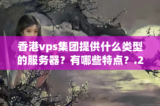 香港vps集團(tuán)提供什么類型的服務(wù)器？有哪些特點(diǎn)？