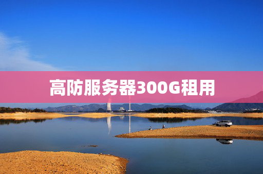 高防服務(wù)器300G租用