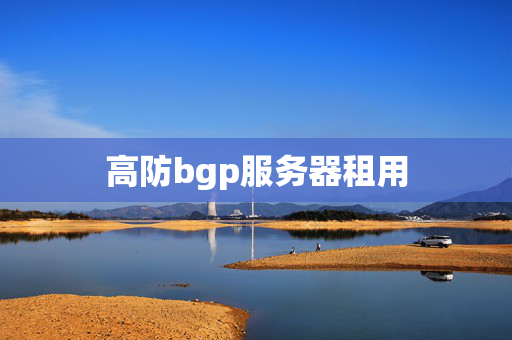 高防bgp服務(wù)器租用