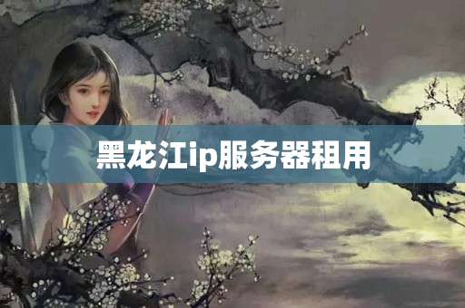 黑龍江ip服務(wù)器租用