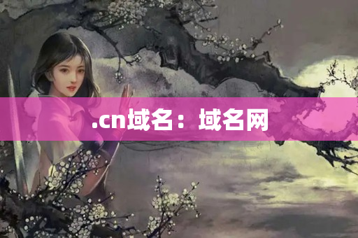 .cn域名：域名網(wǎng)