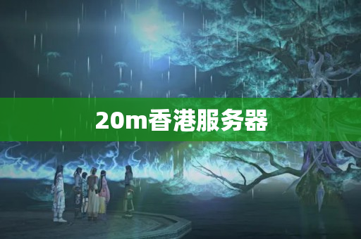 20m香港服務(wù)器