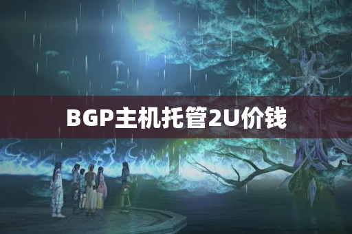 BGP主機托管2U價錢