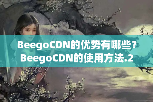 BeegoCDN的優(yōu)勢有哪些？BeegoCDN的使用方法