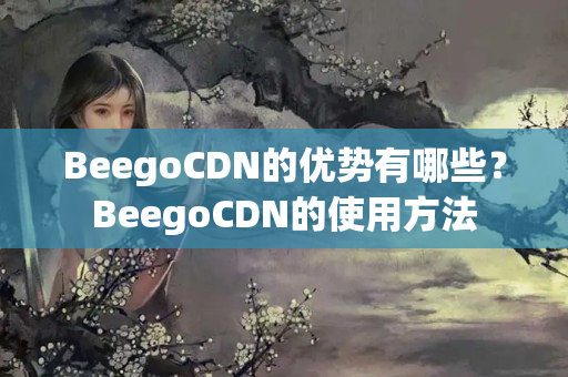 BeegoCDN的優(yōu)勢(shì)有哪些？BeegoCDN的使用方法