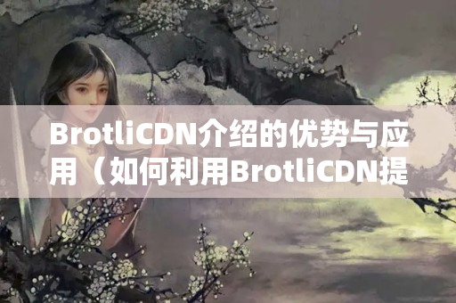 BrotliCDN介紹的優(yōu)勢(shì)與應(yīng)用（如何利用BrotliCDN提升網(wǎng)站性能）