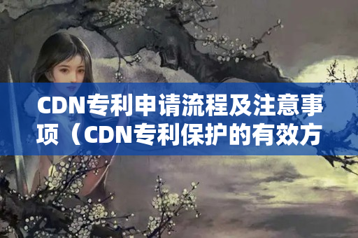 CDN專利申請(qǐng)流程及注意事項(xiàng)（CDN專利保護(hù)的有效方式）