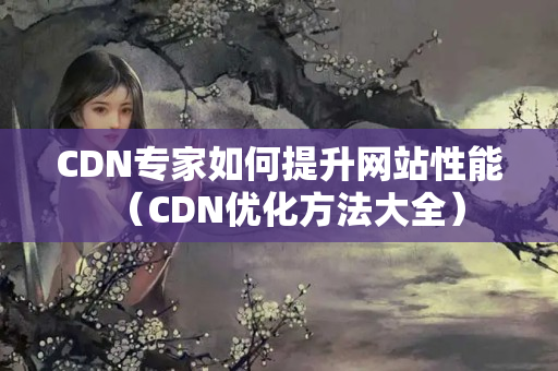 CDN專家如何提升網(wǎng)站性能（CDN優(yōu)化方法大全）