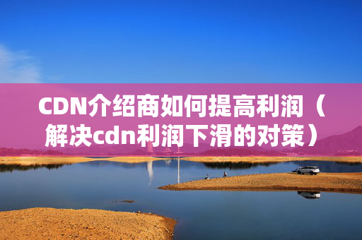 CDN介紹商如何提高利潤（解決cdn利潤下滑的對策）