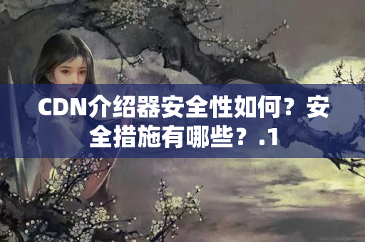 CDN介紹器安全性如何？安全措施有哪些？