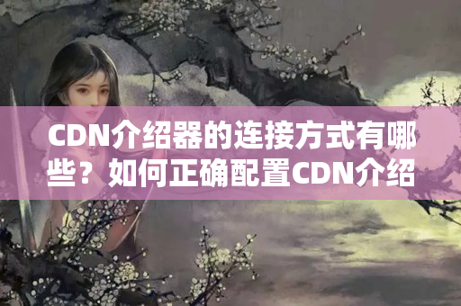 CDN介紹器的連接方式有哪些？如何正確配置CDN介紹器？