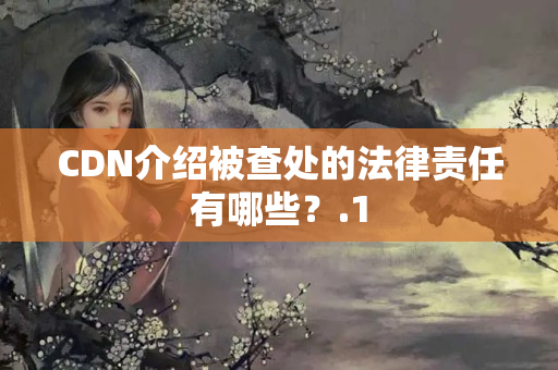 CDN介紹被查處的法律責任有哪些？